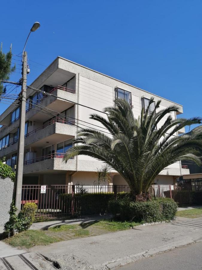 Departamento En Renaca Arriendo Apartamento *